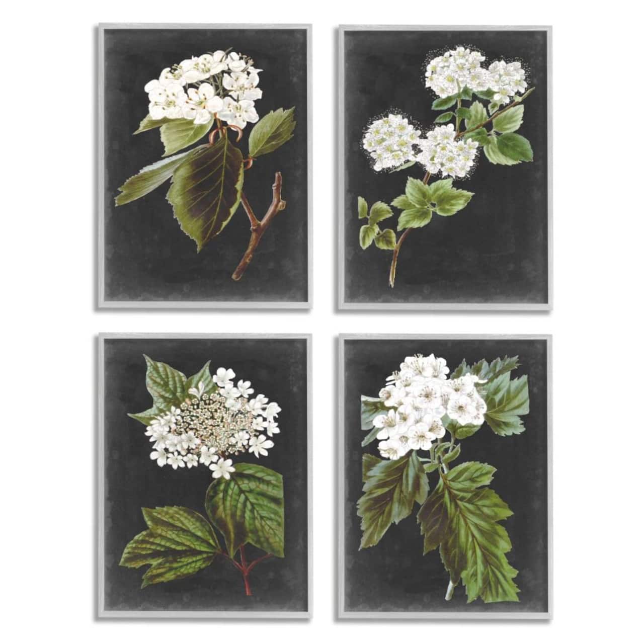 Stupell Industries Gray with White Cottage Florals Framed Wall Art, 4ct.